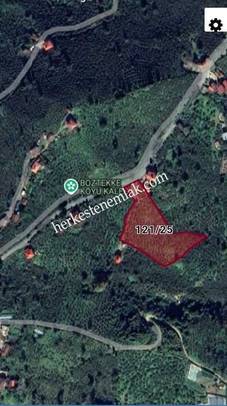 Giresun Merkez Boztekke K&ouml;y&uuml;'nde 7182 m2 Anayola Cephe Satılık Fındık Bah&ccedil;esi